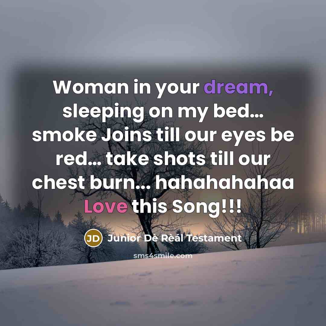 “Woman in your dream, sleeping on my bed… smoke Joins till our eyes be red… take shots till our chest burn... hahahahahaa Love this Song!!!” quote by Junior Dè Rèál Testament