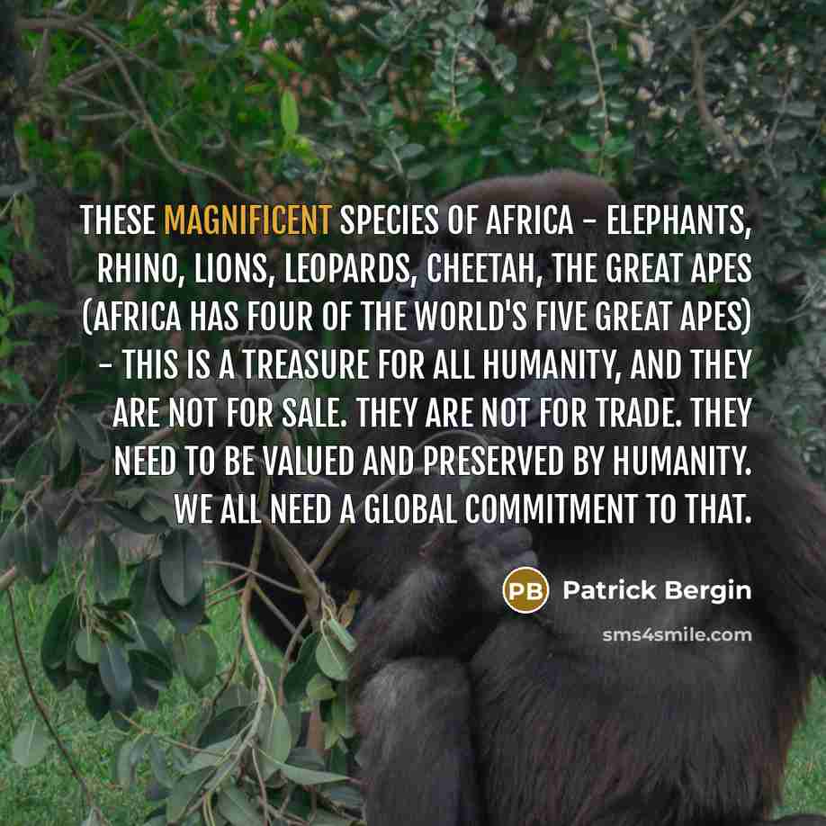 “These magnificent species of Africa - elephants, rhino, lions, leopards,…” quote by Patrick Bergin