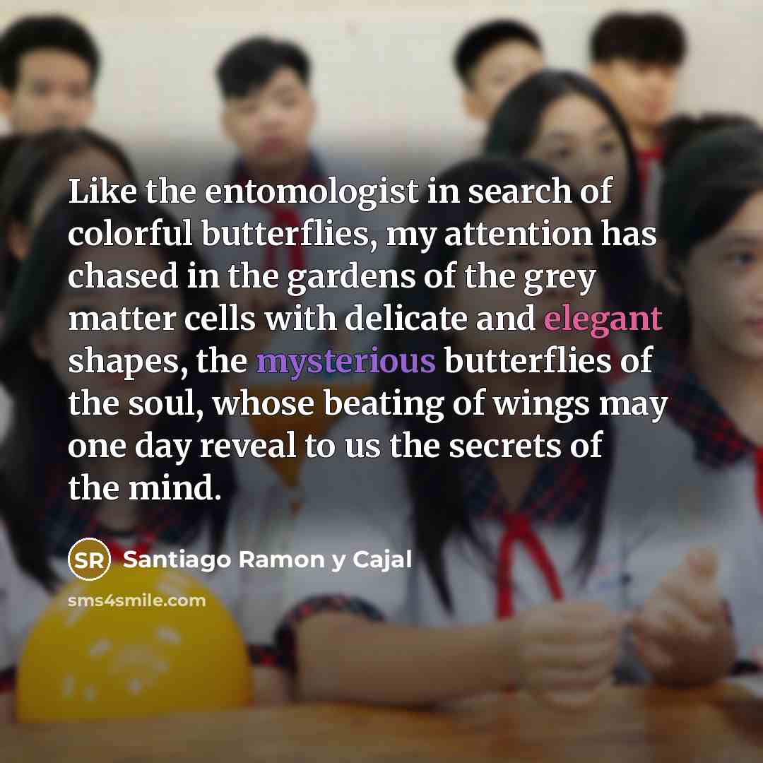 “Like the entomologist in search of colorful butterflies, my attention…” quote by Santiago Ramon y Cajal