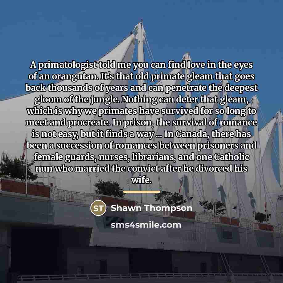“A primatologist told me you can find love in the…” quote by Shawn Thompson