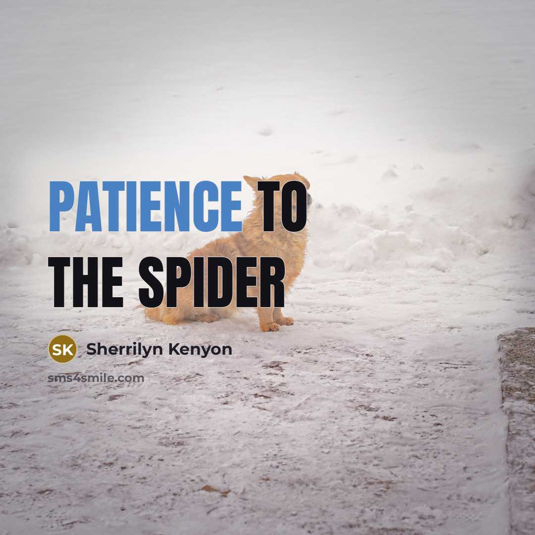 “Patience to the spider…” quote by Sherrilyn Kenyon