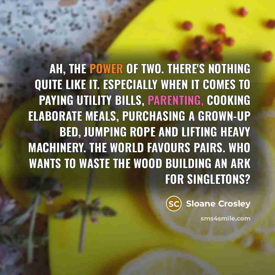 “Ah, the power of two. There's nothing quite like it.…” quote by Sloane Crosley