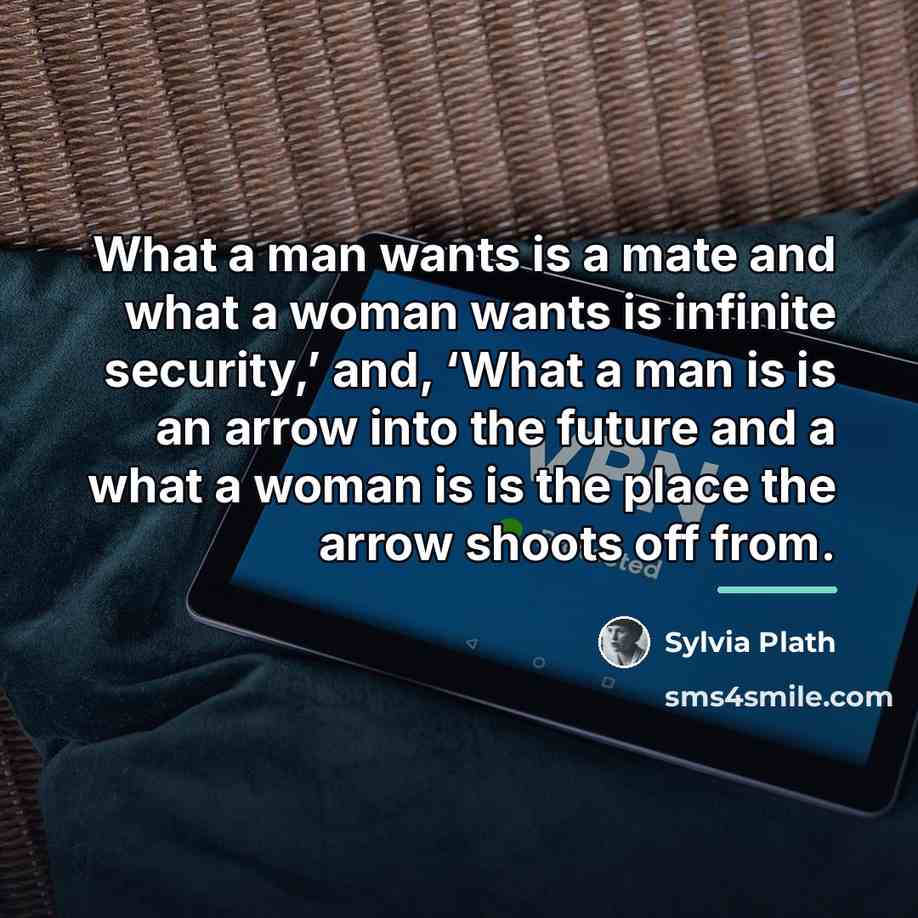 “What a man wants is a mate and what a…” quote by Sylvia Plath