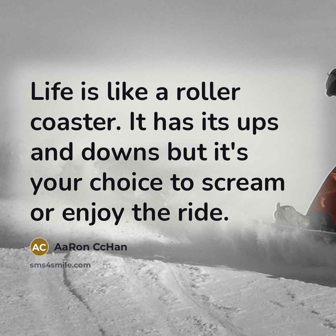 “Life is like a roller coaster. It has its ups…” quote by AaRon CcHan