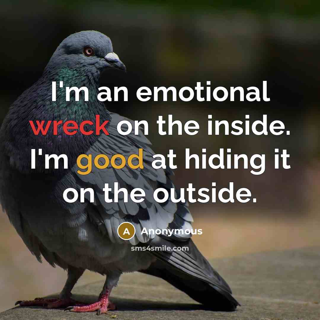 “I'm an emotional wreck on the inside. I'm good at…” quote by Anonymous