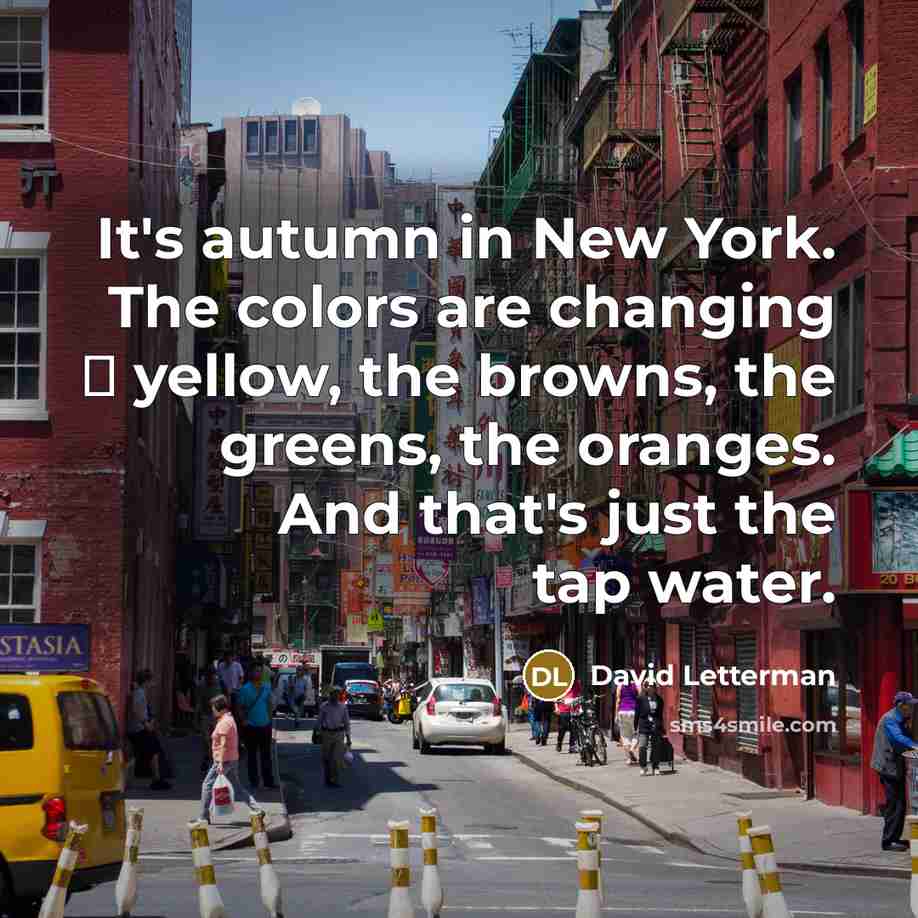 “It's autumn in New York. The colors are changing …” quote by David Letterman