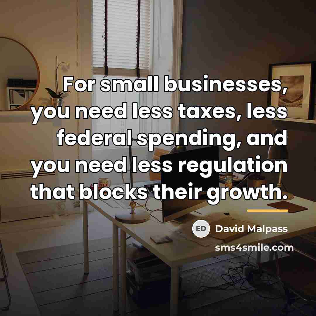 “For small businesses, you need less taxes, less federal spending,…” quote by David Malpass