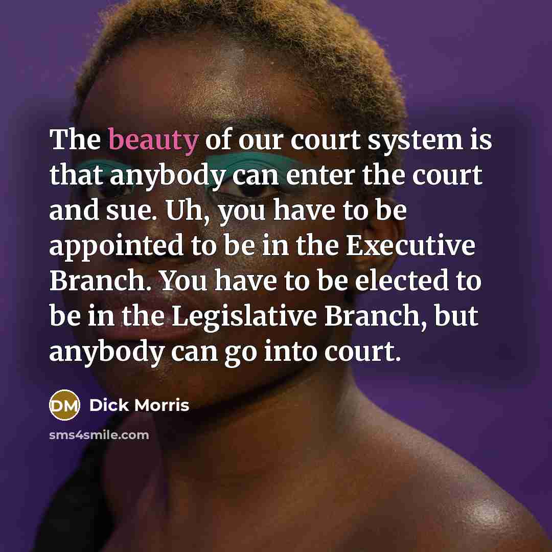 “The beauty of our court system is that anybody can…” quote by Dick Morris