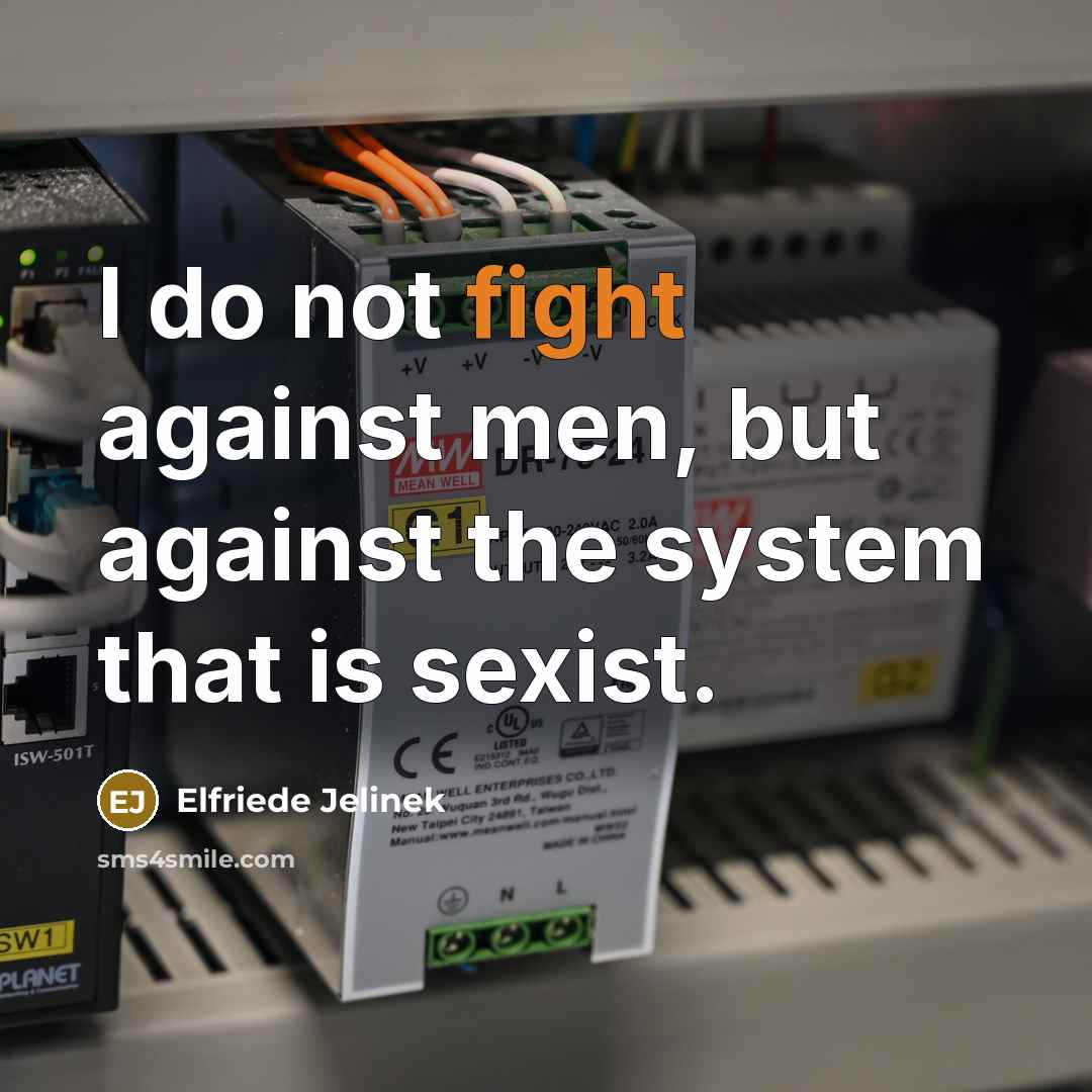 “I do not fight against men, but against the system…” quote by Elfriede Jelinek