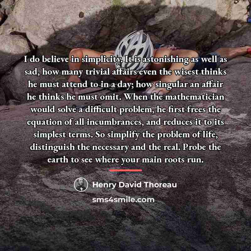 “I do believe in simplicity. It is astonishing as well…” quote by Henry David Thoreau
