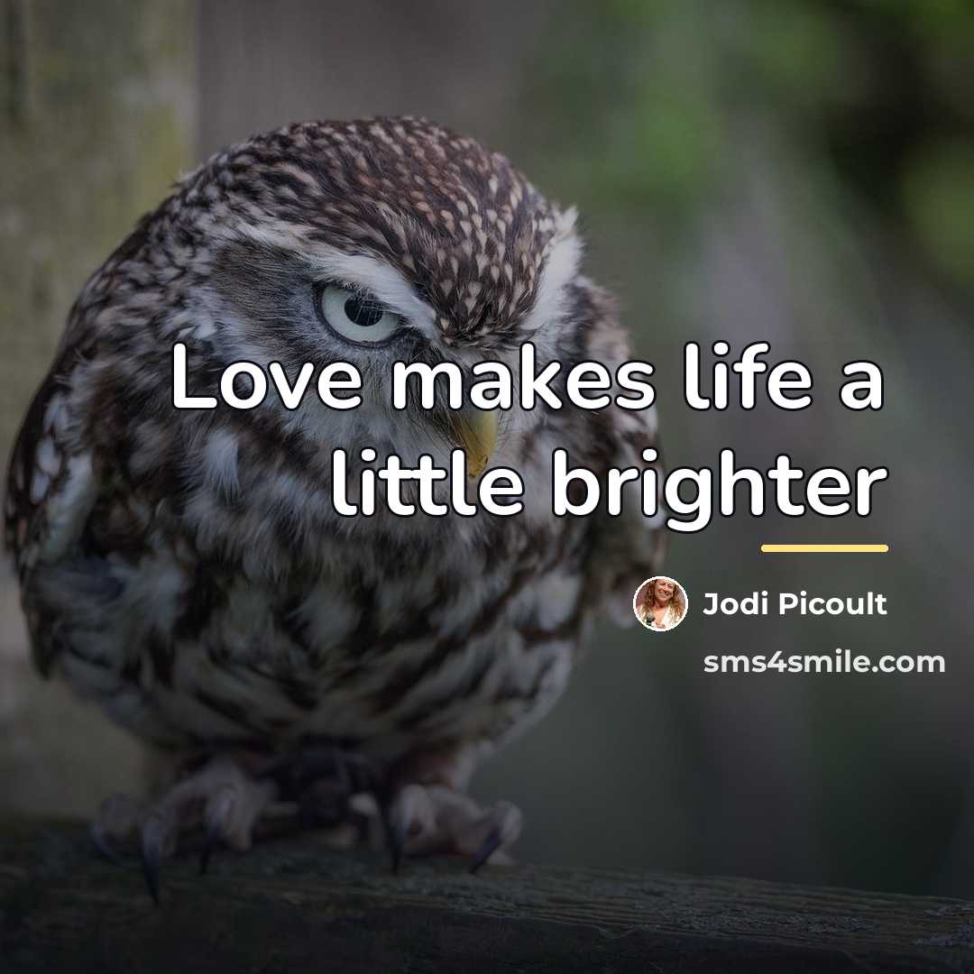 “Love makes life a little brighter…” quote by Jodi Picoult