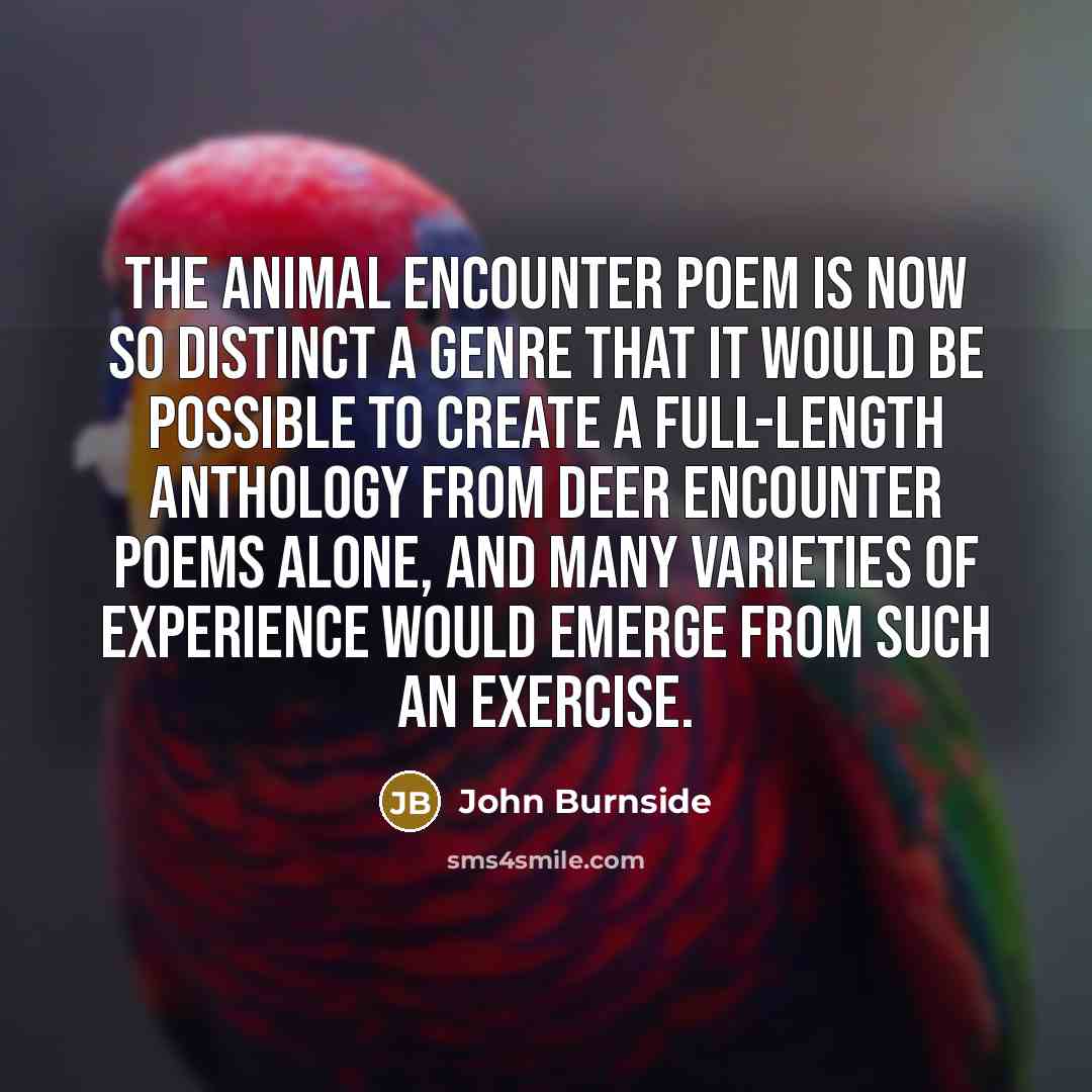 “The animal encounter poem is now so distinct a genre…” quote by John Burnside