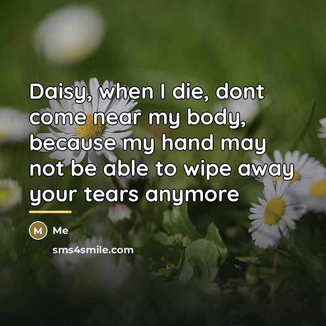 “Daisy, when I die, dont come near my body, because…” quote by Me