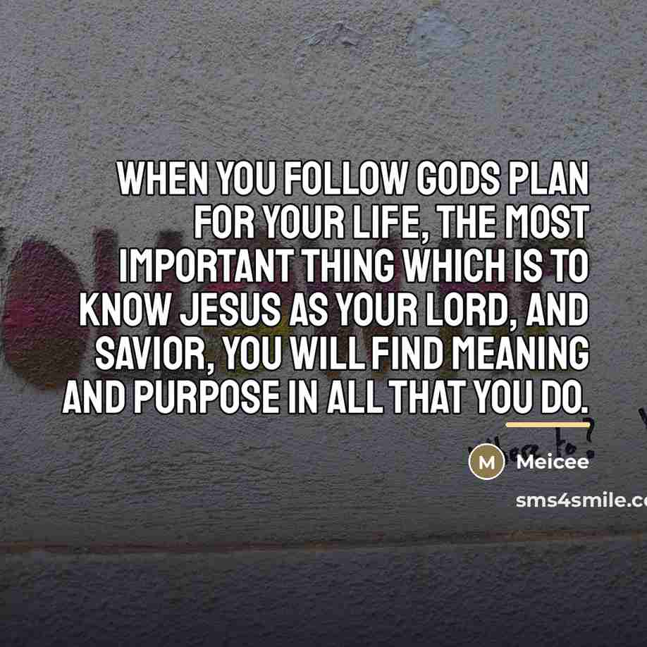 “When you follow Gods plan for your life, the most…” quote by Meicee