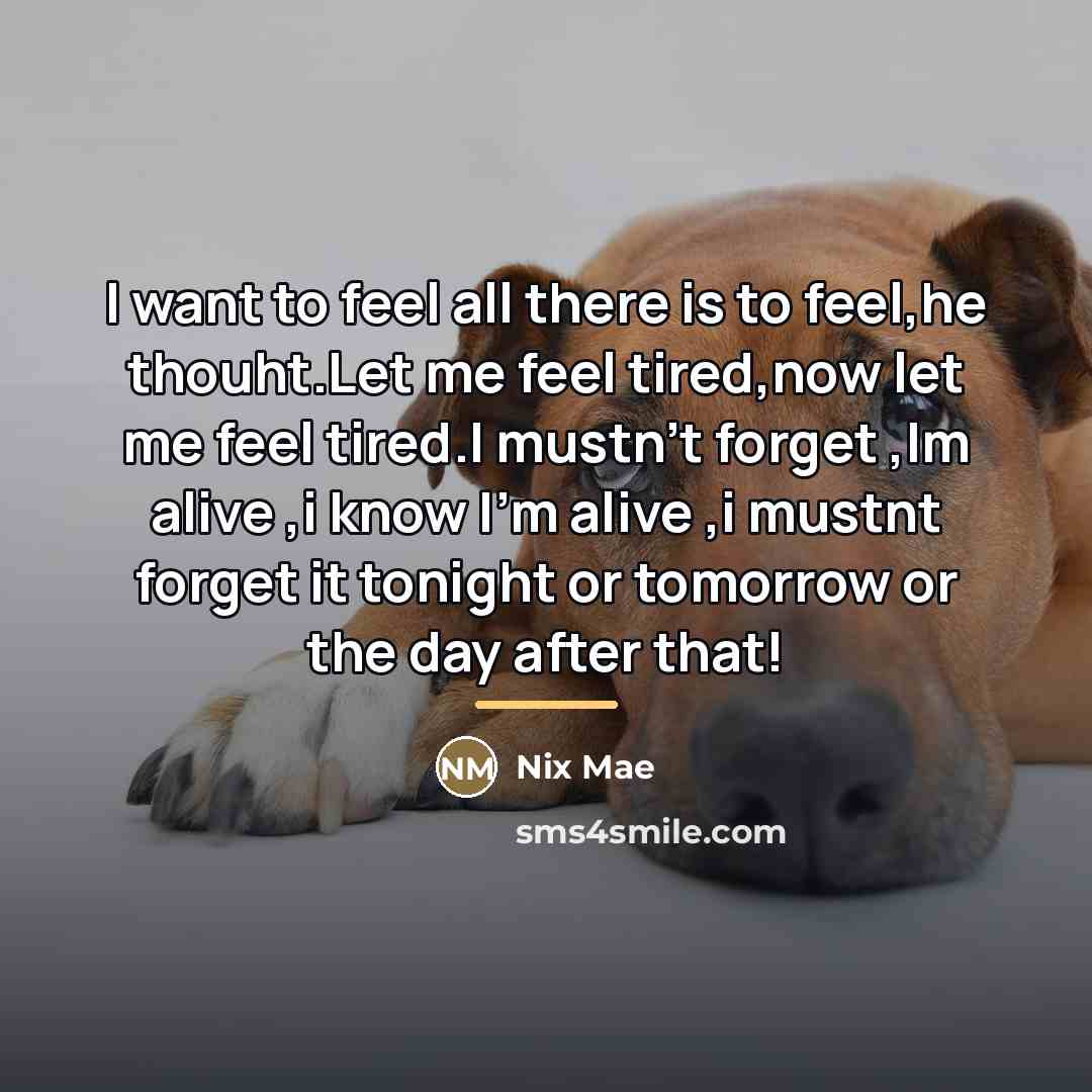 “I want to feel all there is to feel,he thouht.Let…” quote by Nix Mae