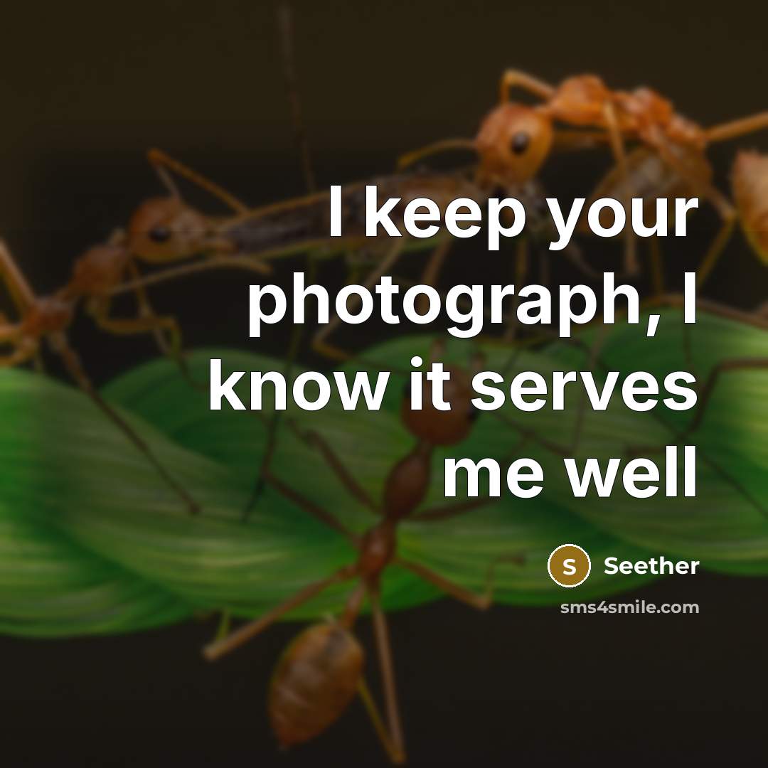 “I keep your photograph, I know it serves me well” quote by Seether