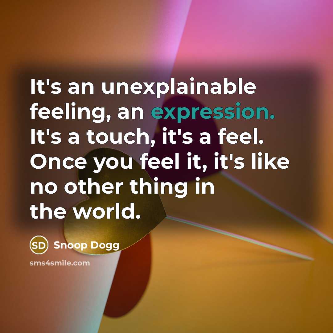 “It's an unexplainable feeling, an expression. It's a touch, it's…” quote by Snoop Dogg