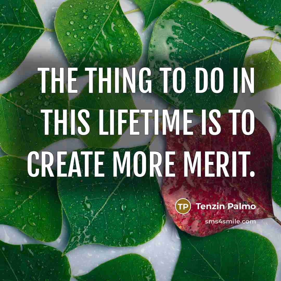“The thing to do in this lifetime is to create…” quote by Tenzin Palmo