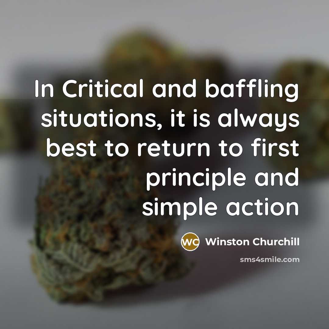 “In Critical and baffling situations, it is always best to…” quote by Winston Churchill