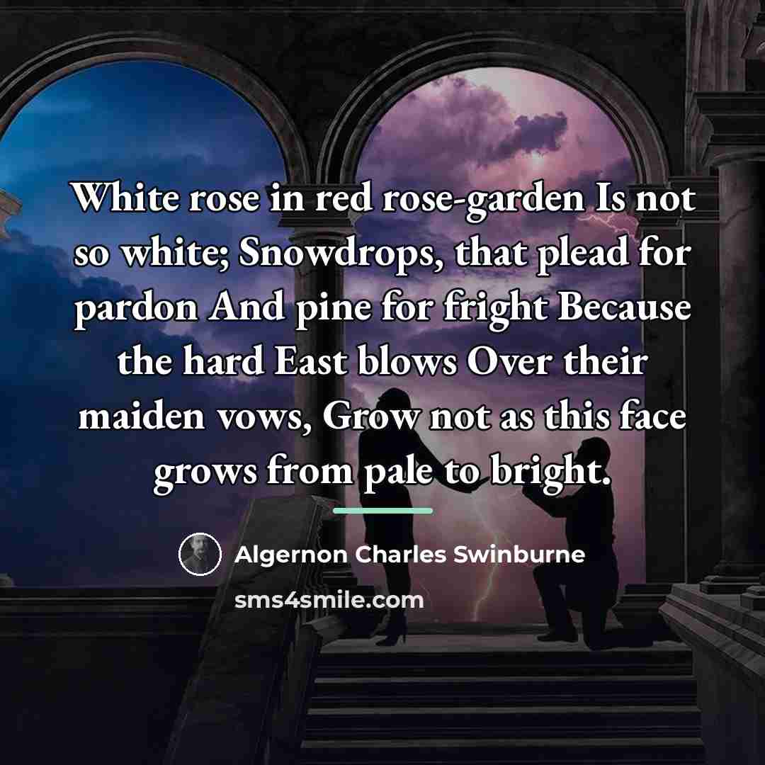 “White rose in red rose-garden Is not so white; Snowdrops,…” quote by Algernon Charles Swinburne