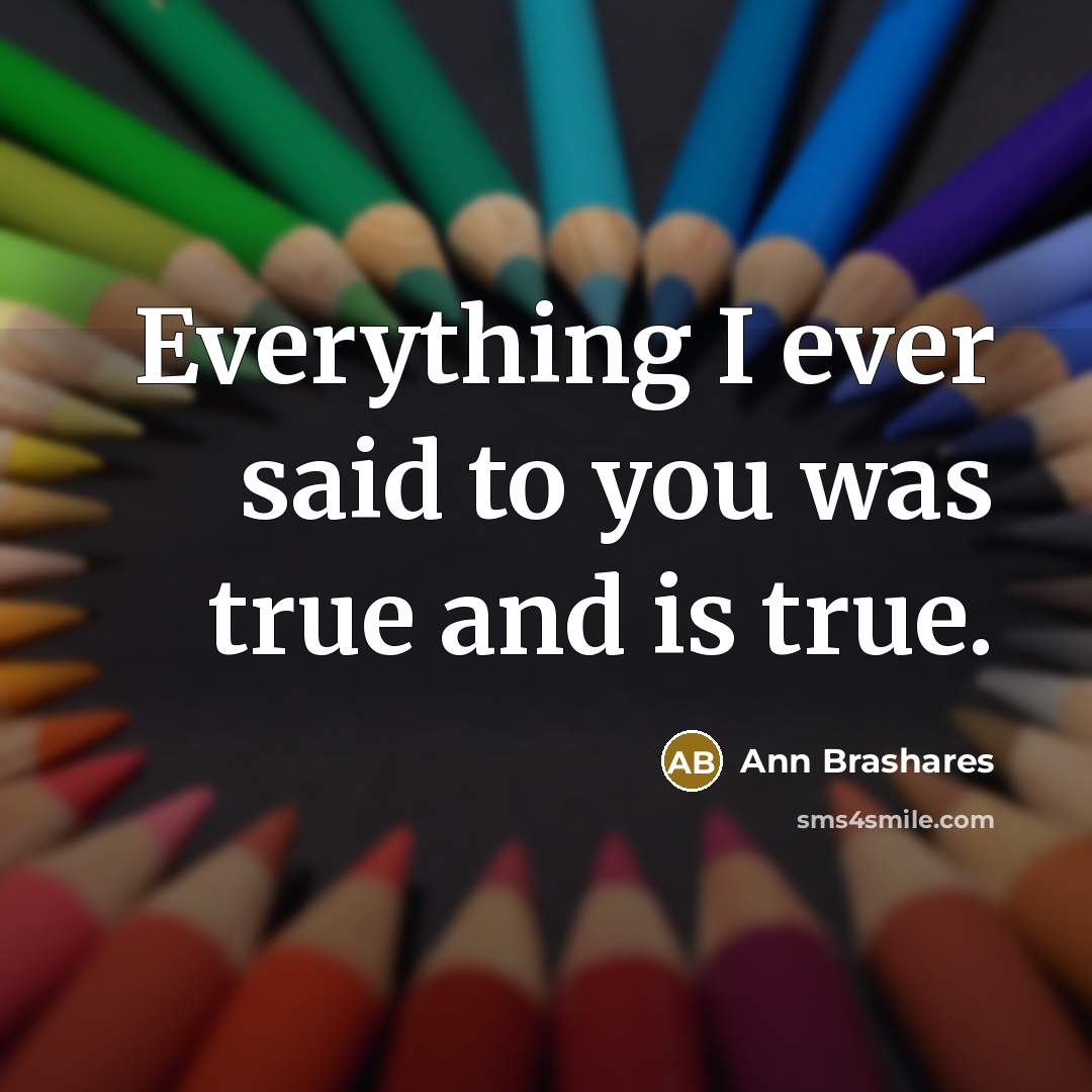 “Everything I ever said to you was true and is…” quote by Ann Brashares