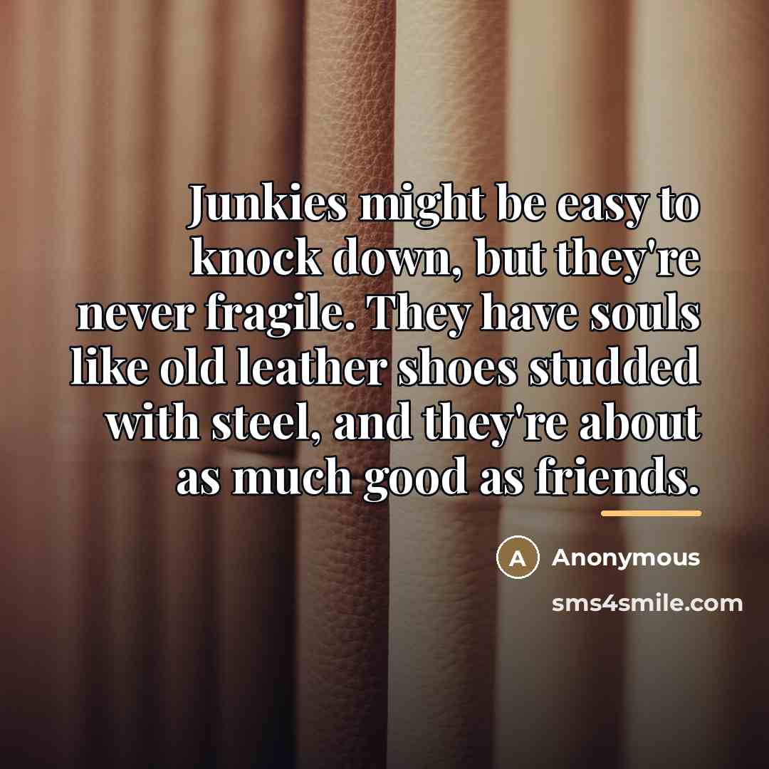 “Junkies might be easy to knock down, but they're never…” quote by Anonymous