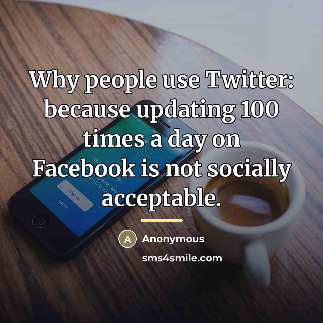 “Why people use Twitter: because updating 100 times a day…” quote by Anonymous