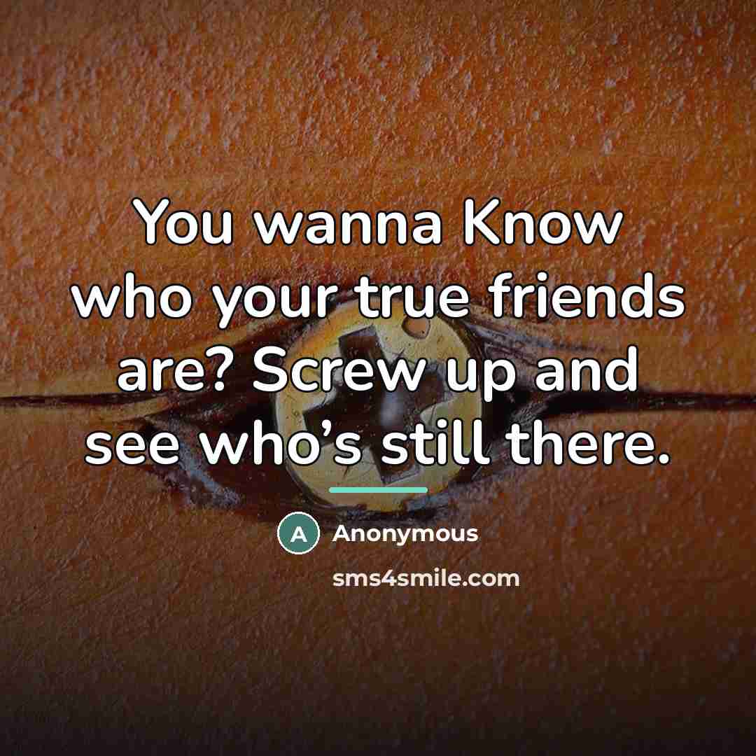 “You wanna Know who your true friends are? Screw up…” quote by Anonymous