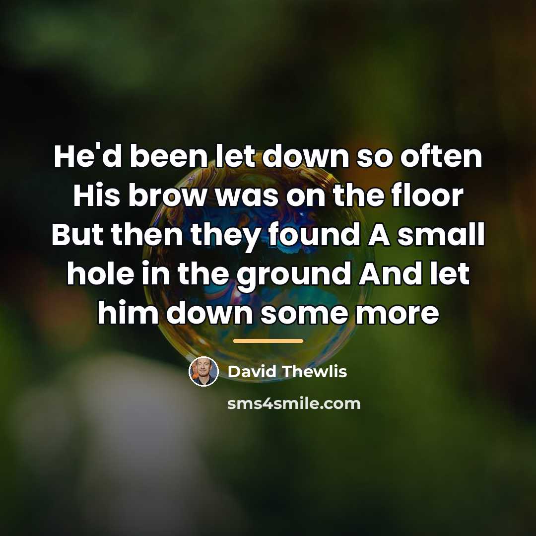 “He'd been let down so often His brow was on…” quote by David Thewlis