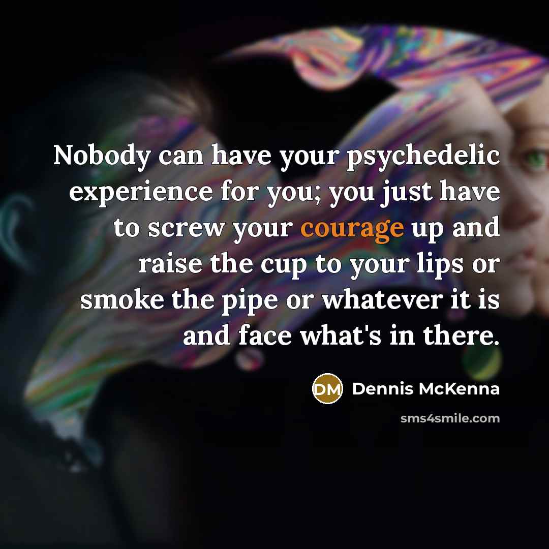 “Nobody can have your psychedelic experience for you; you just…” quote by Dennis McKenna