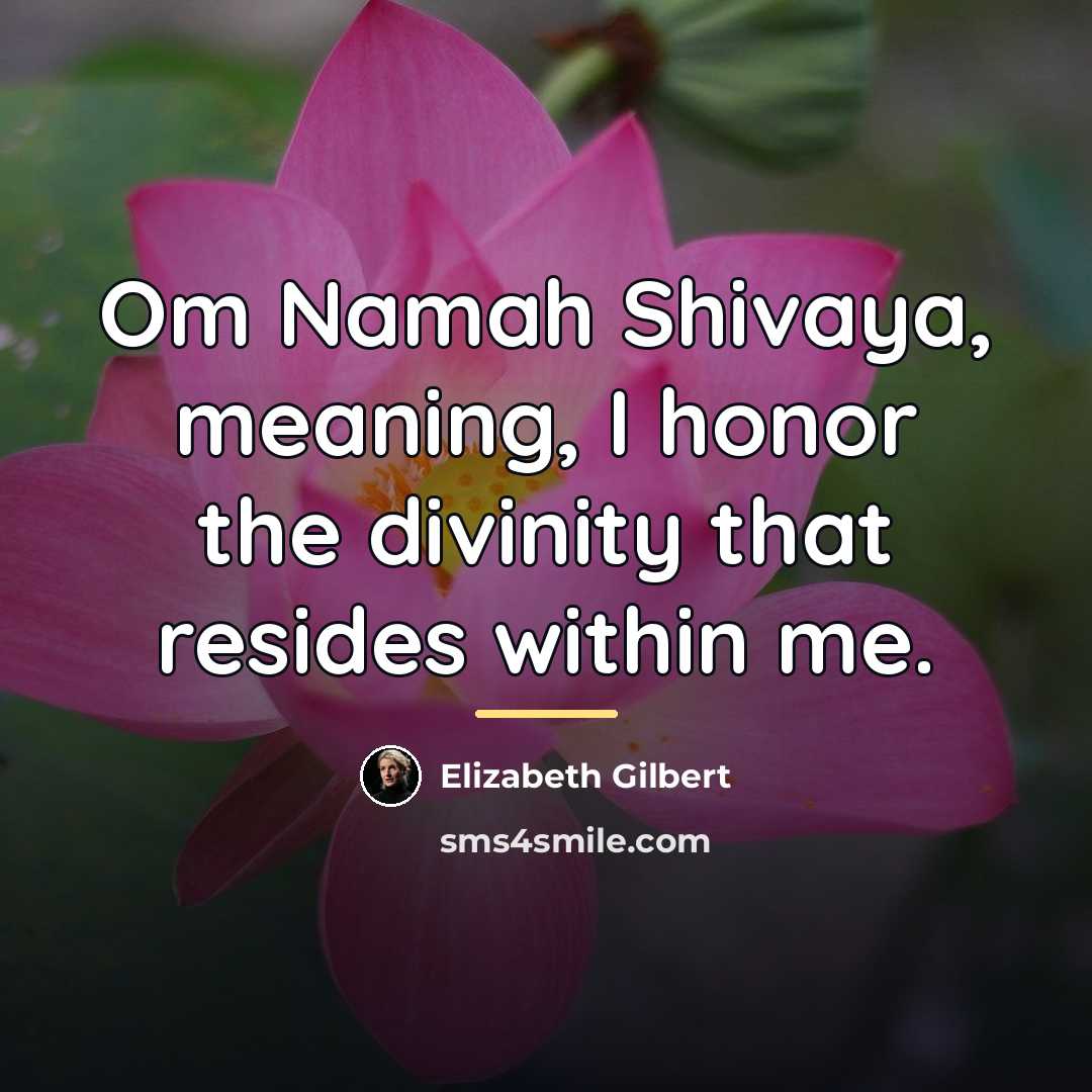 “Om Namah Shivaya, meaning, I honor the divinity that resides…” quote by Elizabeth Gilbert