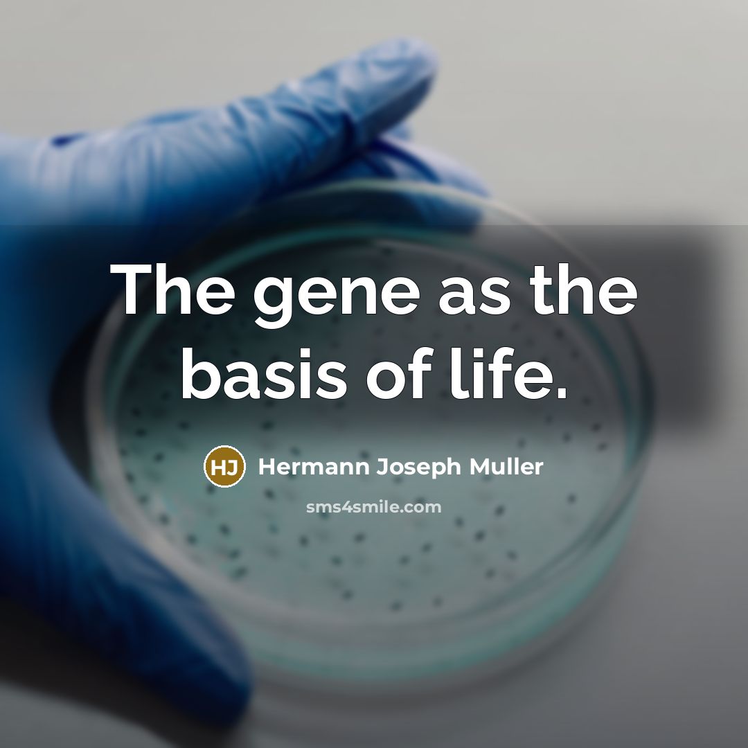 “The gene as the basis of life.…” quote by Hermann Joseph Muller