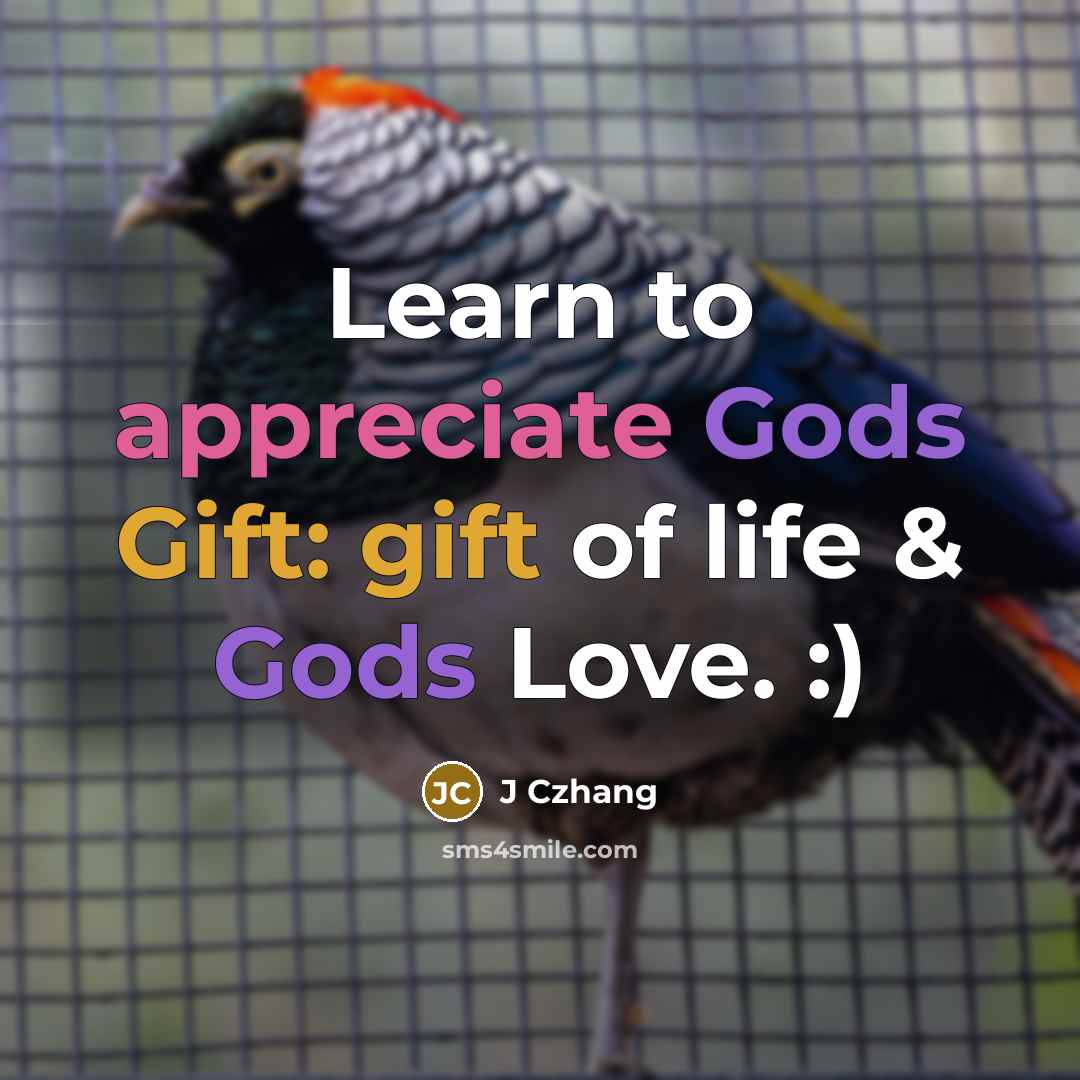 “Learn to appreciate Gods Gift: gift of life & Gods…” quote by J Czhang