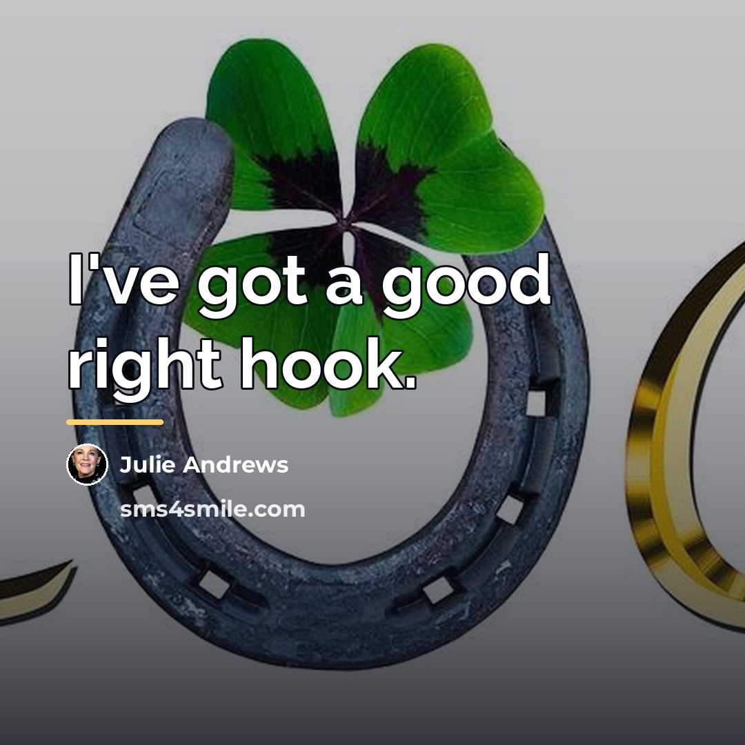 “I've got a good right hook.…” quote by Julie Andrews