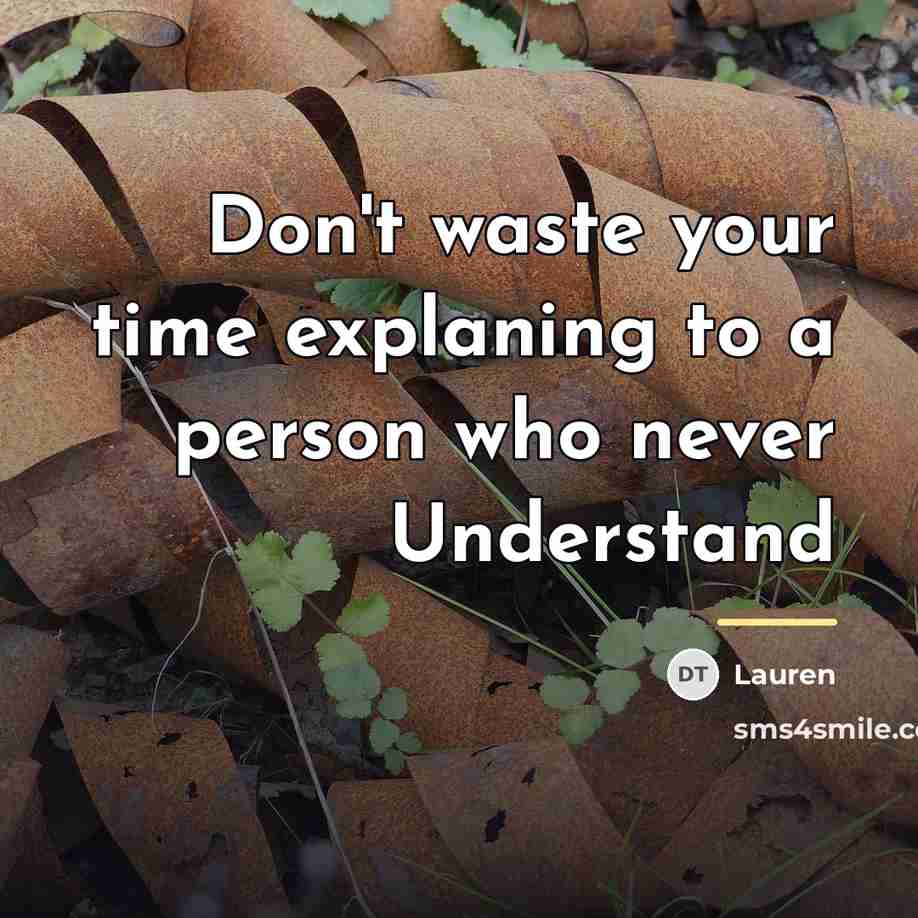 “Don't waste your time explaning to a person who never…” quote by Lauren