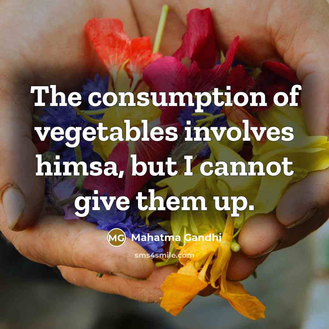 “The consumption of vegetables involves himsa, but I cannot give…” quote by Mahatma Gandhi