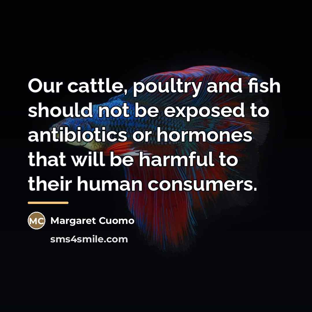 “Our cattle, poultry and fish should not be exposed to…” quote by Margaret Cuomo