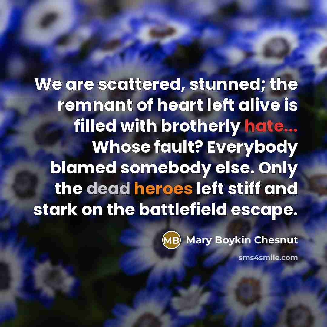 “We are scattered, stunned; the remnant of heart left alive…” quote by Mary Boykin Chesnut