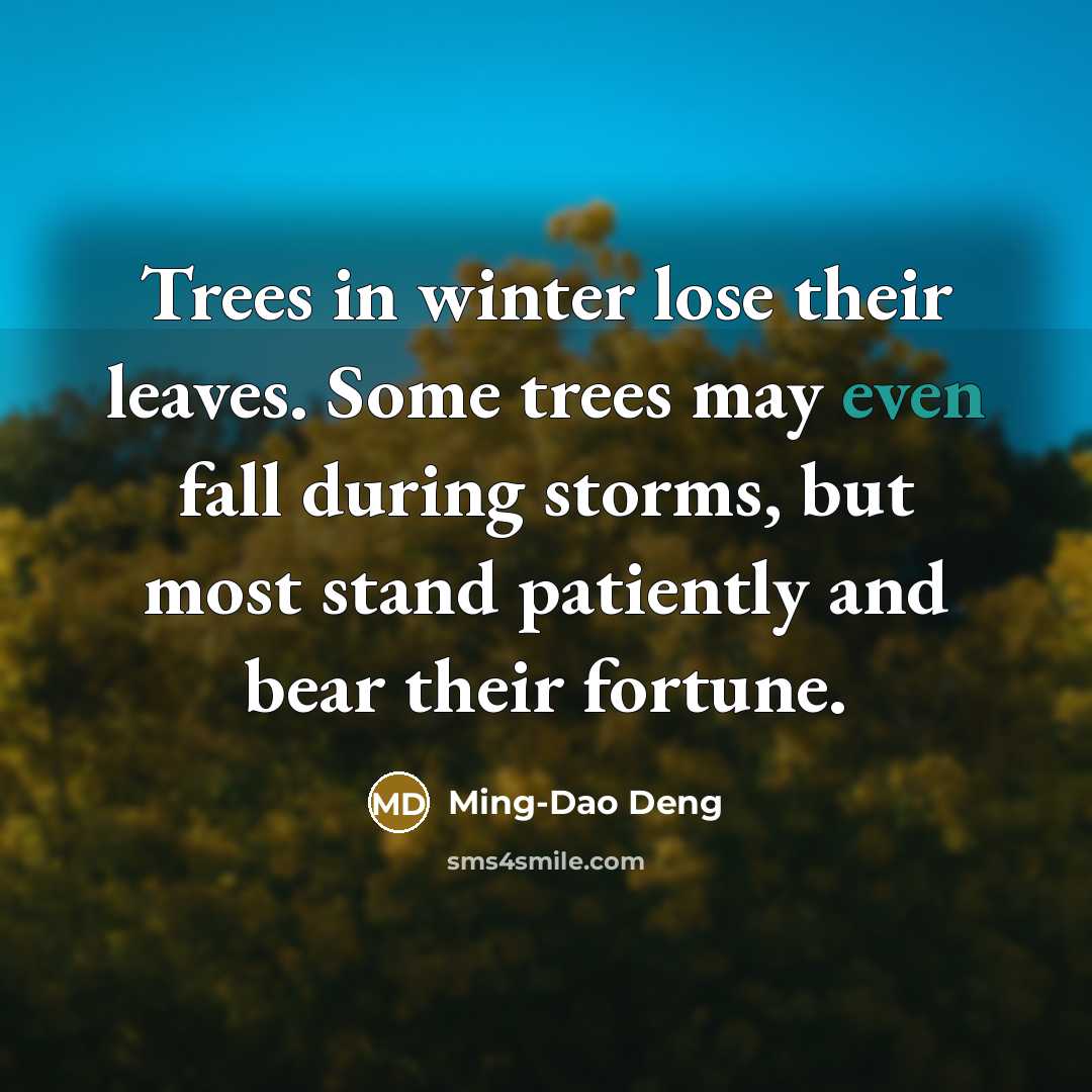 “Trees in winter lose their leaves. Some trees may even…” quote by Ming-Dao Deng
