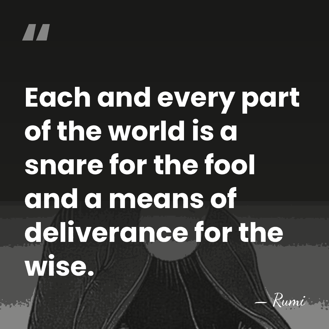 Each and every part of the world is a snare for the&hellip; - Rumi