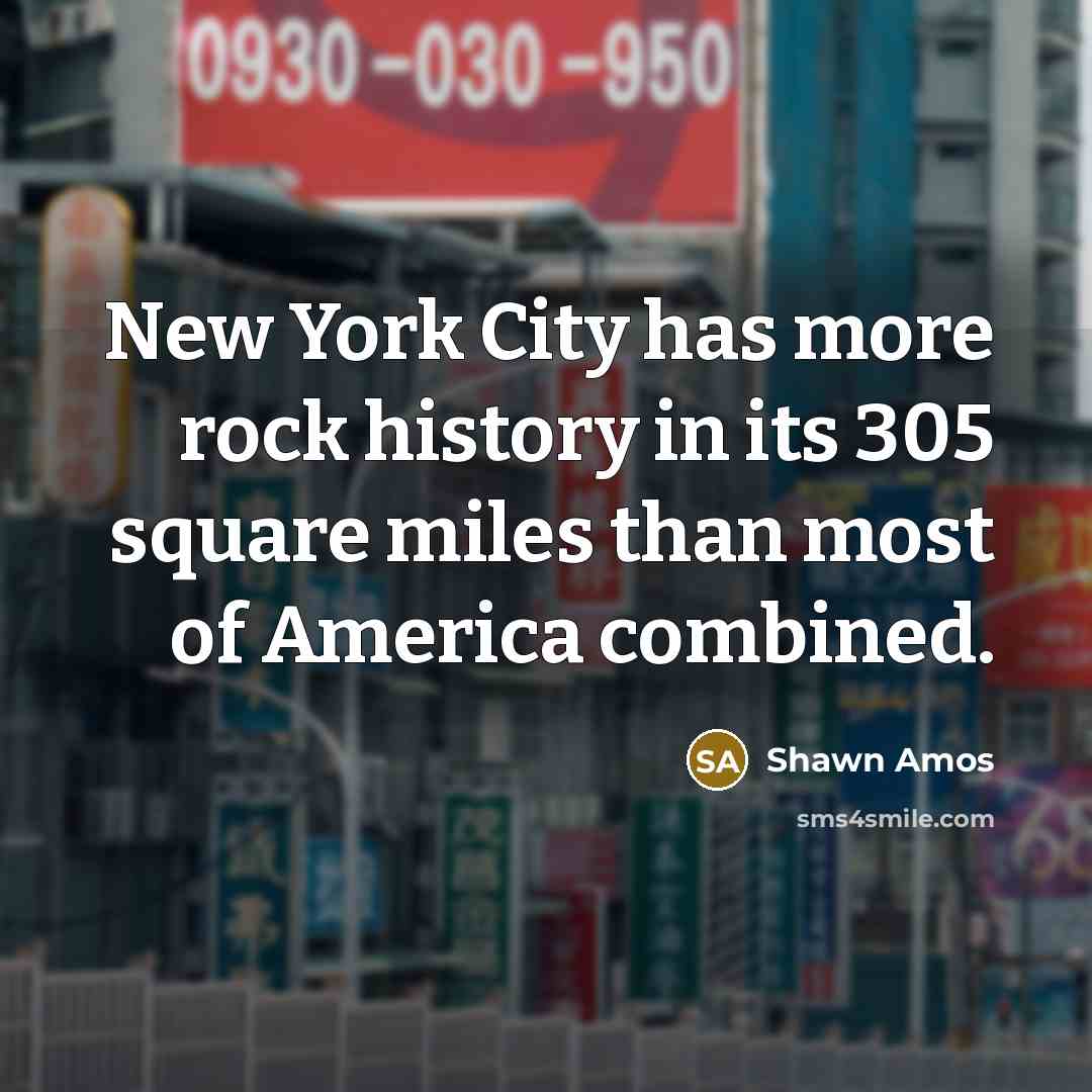 “New York City has more rock history in its 305…” quote by Shawn Amos