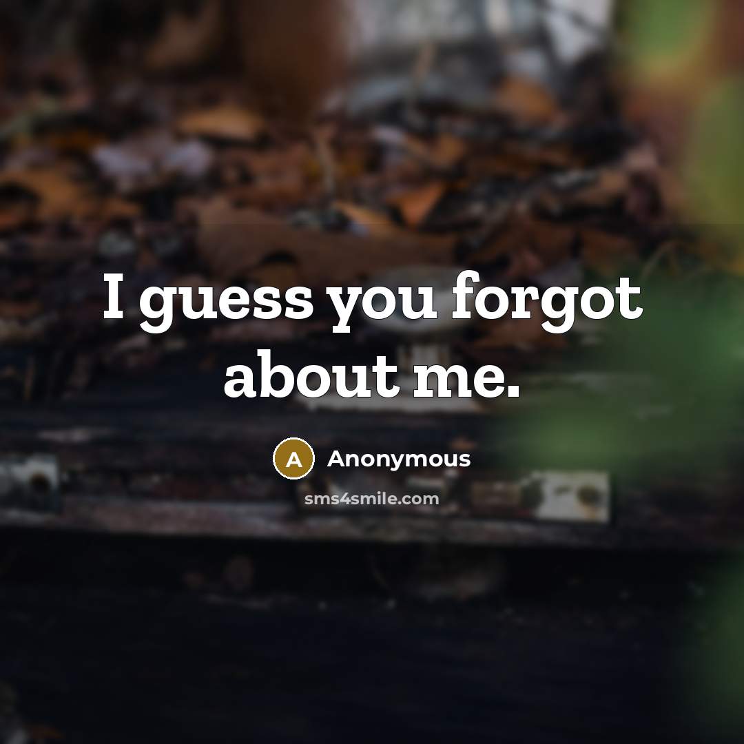“I guess you forgot about me.…” quote by Anonymous