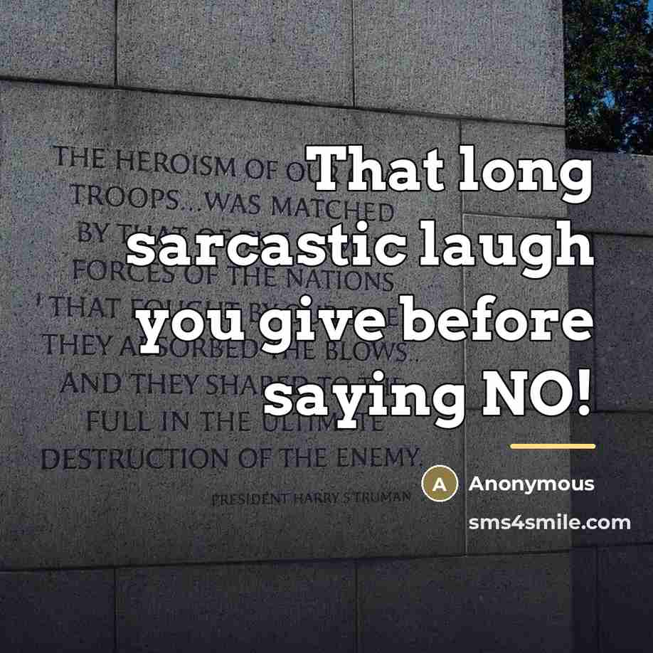 “That long sarcastic laugh you give before saying NO!…” quote by Anonymous