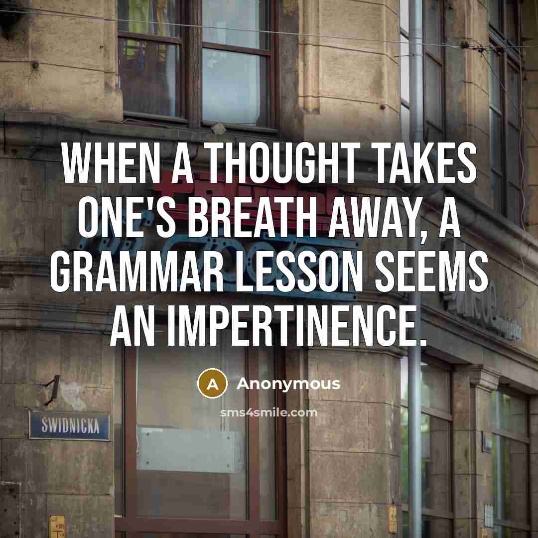 “When a thought takes one's breath away, a grammar lesson seems an impertinence.” quote by Anonymous