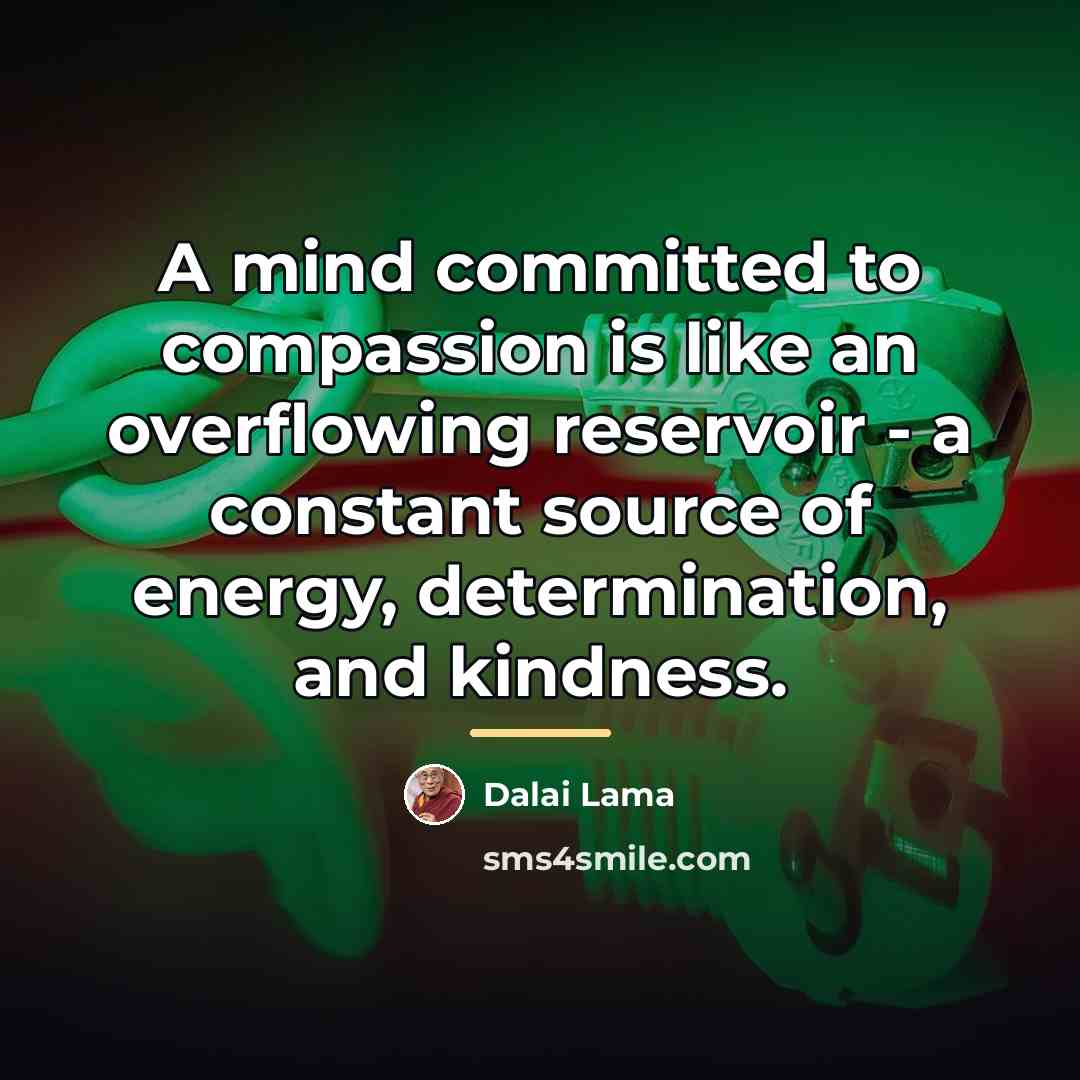 “A mind committed to compassion is like an overflowing reservoir…” quote by Dalai Lama