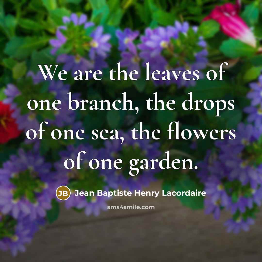 “We are the leaves of one branch, the drops of…” quote by Jean Baptiste Henry Lacordaire