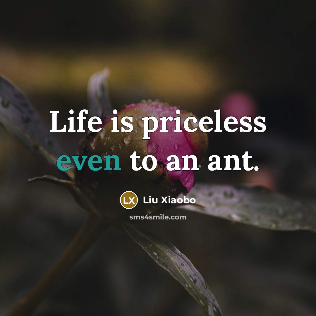 “Life is priceless even to an ant.…” quote by Liu Xiaobo