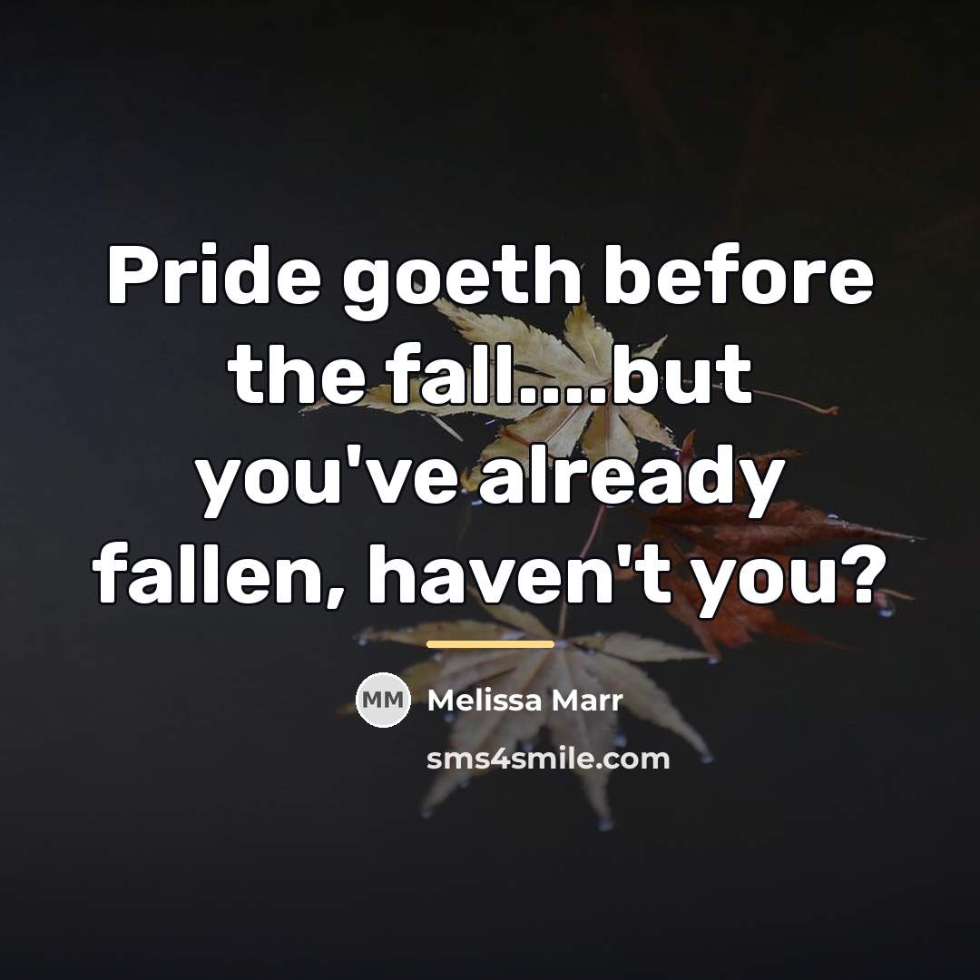“Pride goeth before the fall....but you've already fallen, haven't you?…” quote by Melissa Marr