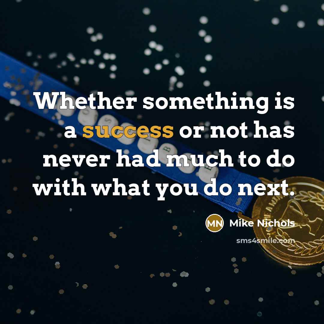 “Whether something is a success or not has never had…” quote by Mike Nichols