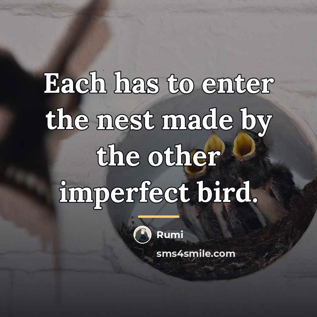 “Each has to enter the nest made by the other…” quote by Rumi
